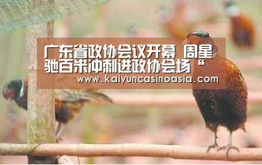 广东省政协会议开幕 周星驰百米冲刺进政协会场“开运体育”(图1) 开运APP